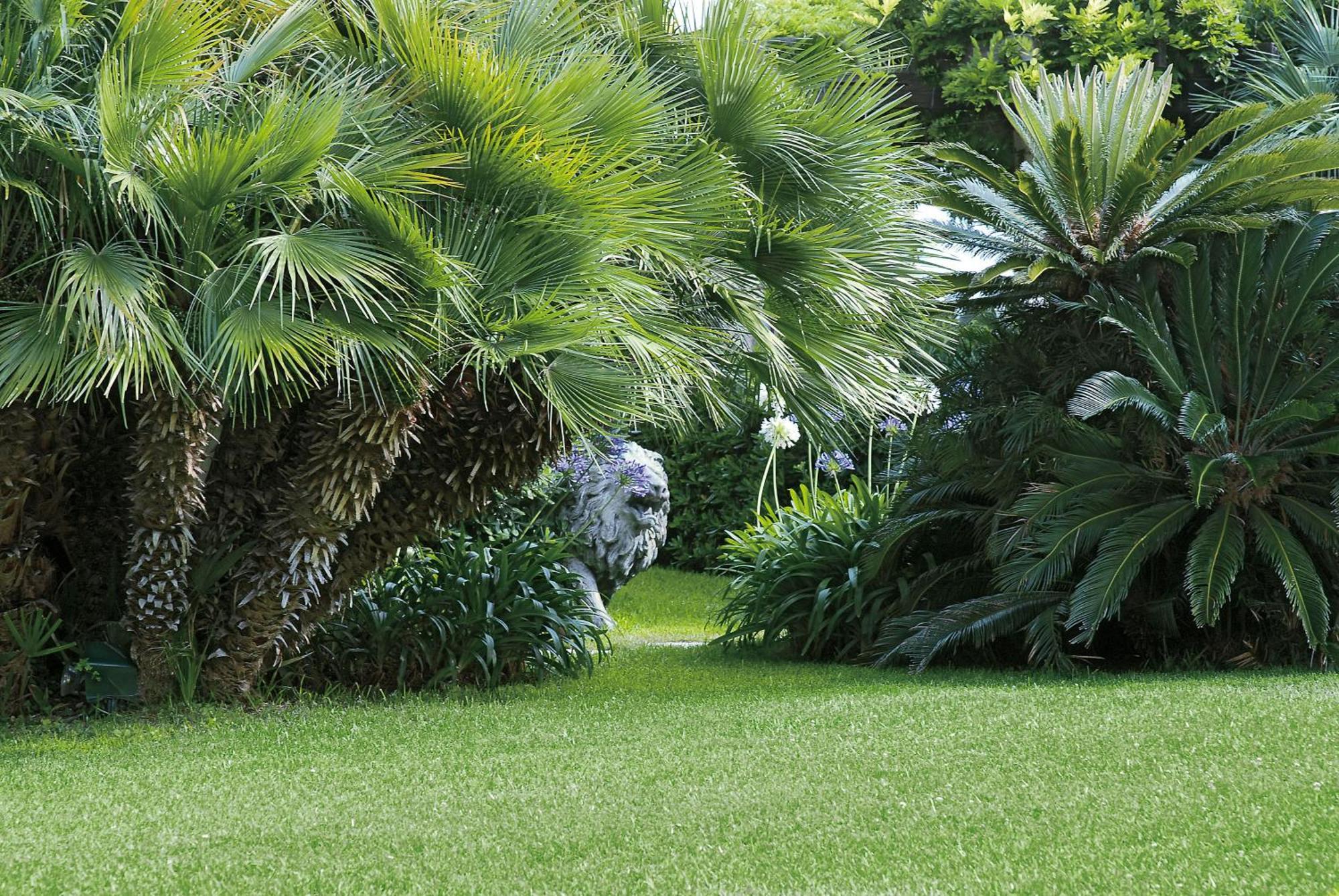 Hotel Grand Del Mare & 5*